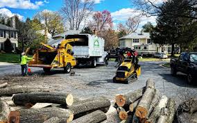 How Our Tree Care Process Works  in  North Terre Haute, IN